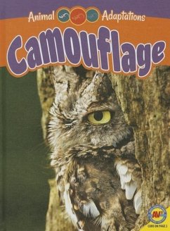 Camouflage - Zayarny, Jack