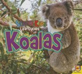 Koalas