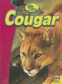 Cougar