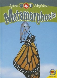 Metamorphosis - Zayarny, Jack