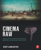 Cinema Raw (eBook, ePUB)