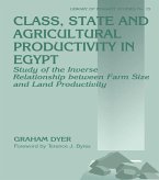 Class, State and Agricultural Productivity in Egypt (eBook, ePUB)