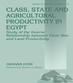 Class, State and Agricultural Productivity in Egypt (eBook, PDF)