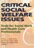 Critical Social Welfare Issues (eBook, ePUB)