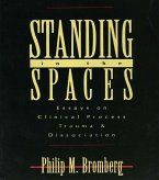 Standing in the Spaces (eBook, PDF)