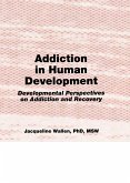 Addiction in Human Development (eBook, PDF)