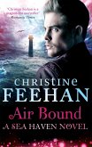 Air Bound (eBook, ePUB)