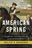 American Spring (eBook, ePUB)