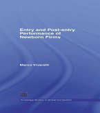 Entry and Post-Entry Performance of Newborn Firms (eBook, PDF)