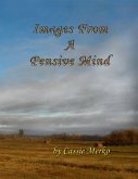 Images from a Pensive Mind (eBook, ePUB) Images from a Pensive Mind (eBook, ePUB)