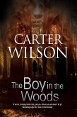 The Boy in the Woods (eBook, ePUB)