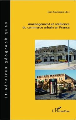 Amenagement et resilience du commerce urbain en France (eBook, PDF)