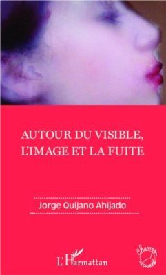 Autour du visible, l'image et la fuite (eBook, PDF)