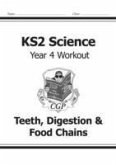 KS2 Science Year 4 Workout: Teeth, Digestion & Food Chains