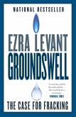 Groundswell (eBook, ePUB)