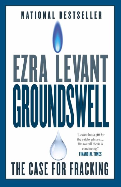 Groundswell (eBook, ePUB) Groundswell (eBook, ePUB)