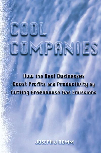 Cool Companies (eBook, PDF)