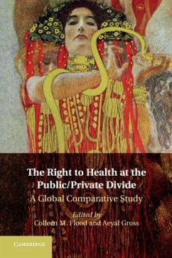 Right to Health at the Public/Private Divide (eBook, PDF)