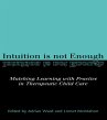 Intuition is not Enough (eBook, PDF) - Bild 1