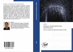 Fatigue multiaxiale des élastomères - Zine, Adil