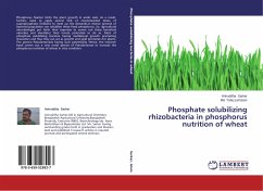 Phosphate solubilizing rhizobacteria in phosphorus nutrition of wheat