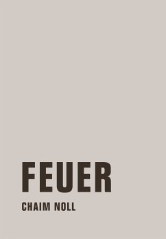 Feuer (eBook, ePUB) - Noll, Chaim