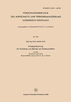 Druckgasfeuerung Ein Verfahren zum Betrieb von Gasfeuerstätten - Koch, Hans Joachim