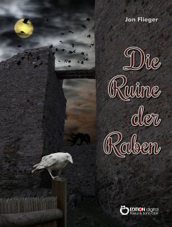 Die Ruine der Raben (eBook, PDF) - Flieger, Jan