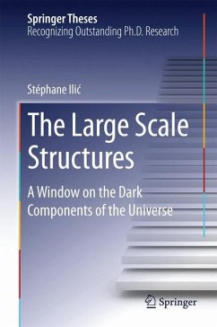 The Large Scale Structures - Ilic, Stéphane