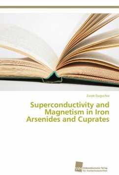 Superconductivity and Magnetism in Iron Arsenides and Cuprates - Guguchia, Zurab