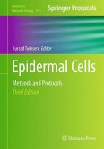 Epidermal Cells