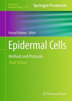 Epidermal Cells