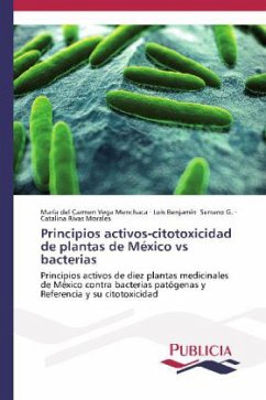 Principios activos-citotoxicidad de plantas de México vs bacterias - Vega Menchaca, María del Carmen;Serrano G., Luis Benjamín;Rivas Morales, Catalina