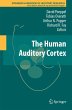 The Human Auditory Cortex - Bild 1