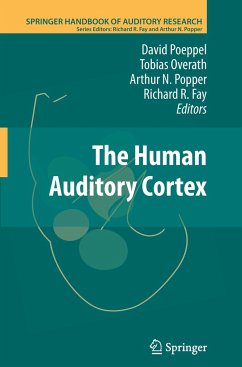 The Human Auditory Cortex