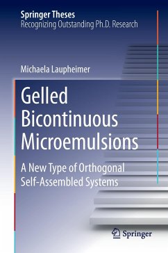 Gelled Bicontinuous Microemulsions - Laupheimer, Michaela