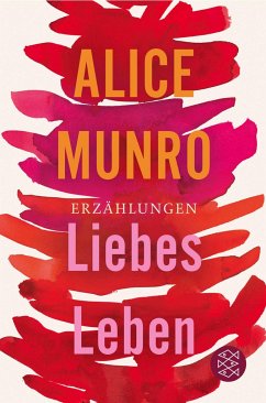 Liebes Leben - Munro, Alice