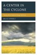 Center in the Cyclone - Bild 1