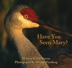 Have You Seen Mary? - Kurrus, Jeff