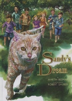 Sandys Dream - Bednar, Martin