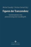 Figuren der Transzendenz