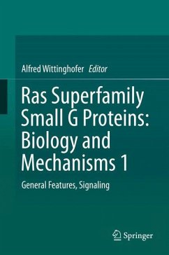 Ras Superfamily Small G Proteins: Biology and Mechanisms 1