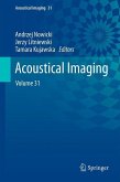 Acoustical Imaging