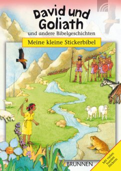 Cover David und Goliath