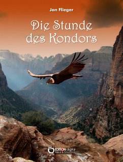 Die Stunde des Kondors (eBook, PDF) - Flieger, Jan