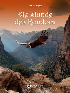 Die Stunde des Kondors (eBook, ePUB) - Flieger, Jan