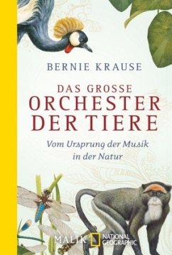 Das große Orchester der Tiere - Krause, Bernie