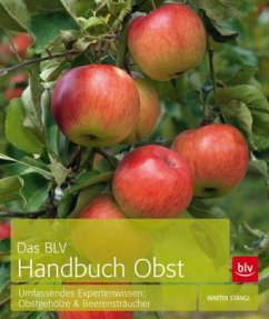 Das BLV Handbuch Obst - Stangl, Martin