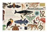 Animalium Animalium