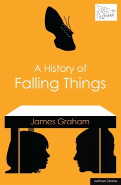 Cover A History of Falling Things (eBook, PDF)